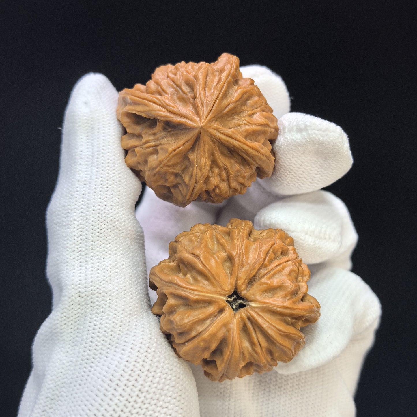 "Imperial Jade Seal X-Men" Yuxi Sileng X-Zhanjing Four-Ribbed Wenwan Walnuts Pair | 36.0mm x 39.0mm | YSFN-C228E