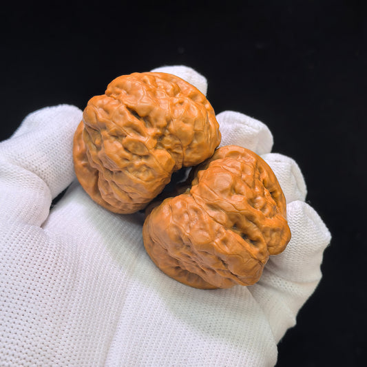 Hamatou (Toad Head) Premium Select Pair | 43.0mm x 42.0mm | Classic Low-Profile Ingot Posture | Stock ID: HMT-401C