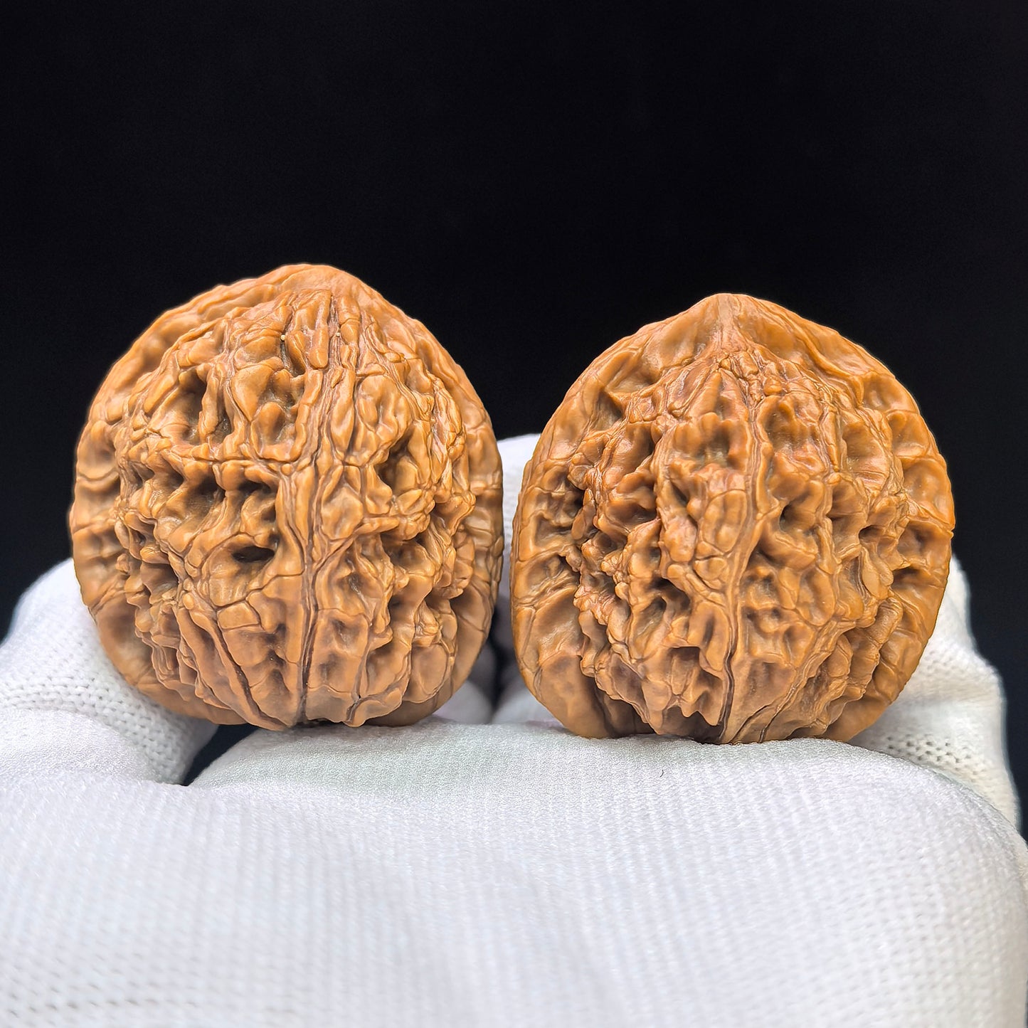 "Water Dragon Texture" Shuilongwen SLW-1501C Low-Profile Wenwan Walnuts Pair | 40.0mm x 41.0mm | SLW-1501C