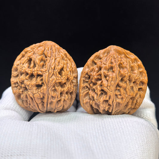 "Water Dragon Texture" Shuilongwen SLW-1501C Low-Profile Wenwan Walnuts Pair | 40.0mm x 41.0mm | SLW-1501C