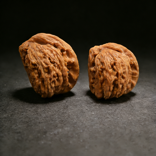 The "Half-Wall White Lion Head" – Deep Textured Natural Pair | #WL-31 (Actual Item Pictured)