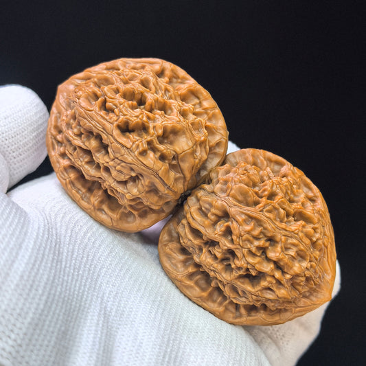 "Water Dragon Texture" Shui Long Wen SLW-1502C Low-Profile Wenwan Walnuts Pair | 40.0mm x 39.0mm | SLW-1502C