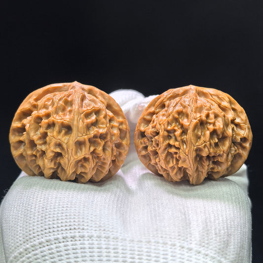 "Palace Lantern" Gongdeng Wenwan Walnuts Pair | 41.0mm x 38.0mm | GD-1404