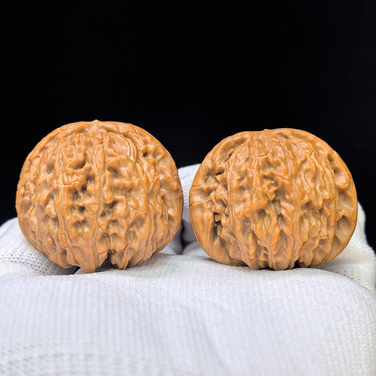 "White Lionhead" Baishizi BSJ-SY1C1 Low-Profile Wenwan Walnuts Pair | 39.0mm x 41.0mm | BSJ-SY1C1