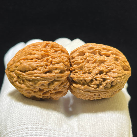 "Gelbwurz" Jianghuang Nanjiang Stone Wenwan Walnüsse Paar | 35.0mm x 35.0mm | JHNJS-1101