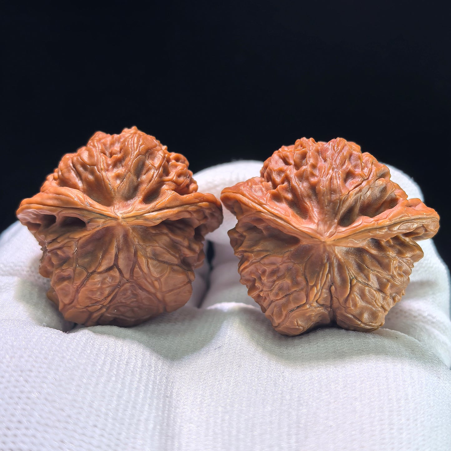 The "Palace Lantern Flying Snake" (Gong Deng Fei She) Investment-Grade Masterpiece | 40.0mm x 38.0mm | GDFS-1301E