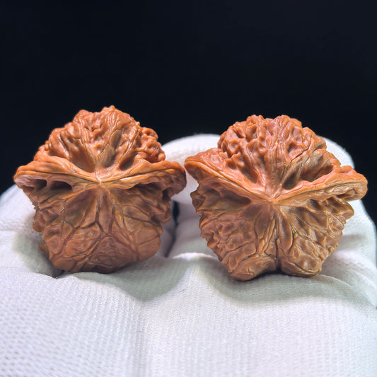The "Palace Lantern Flying Snake" (Gong Deng Fei She) Investment-Grade Masterpiece | 40.0mm x 38.0mm | GDFS-1301E