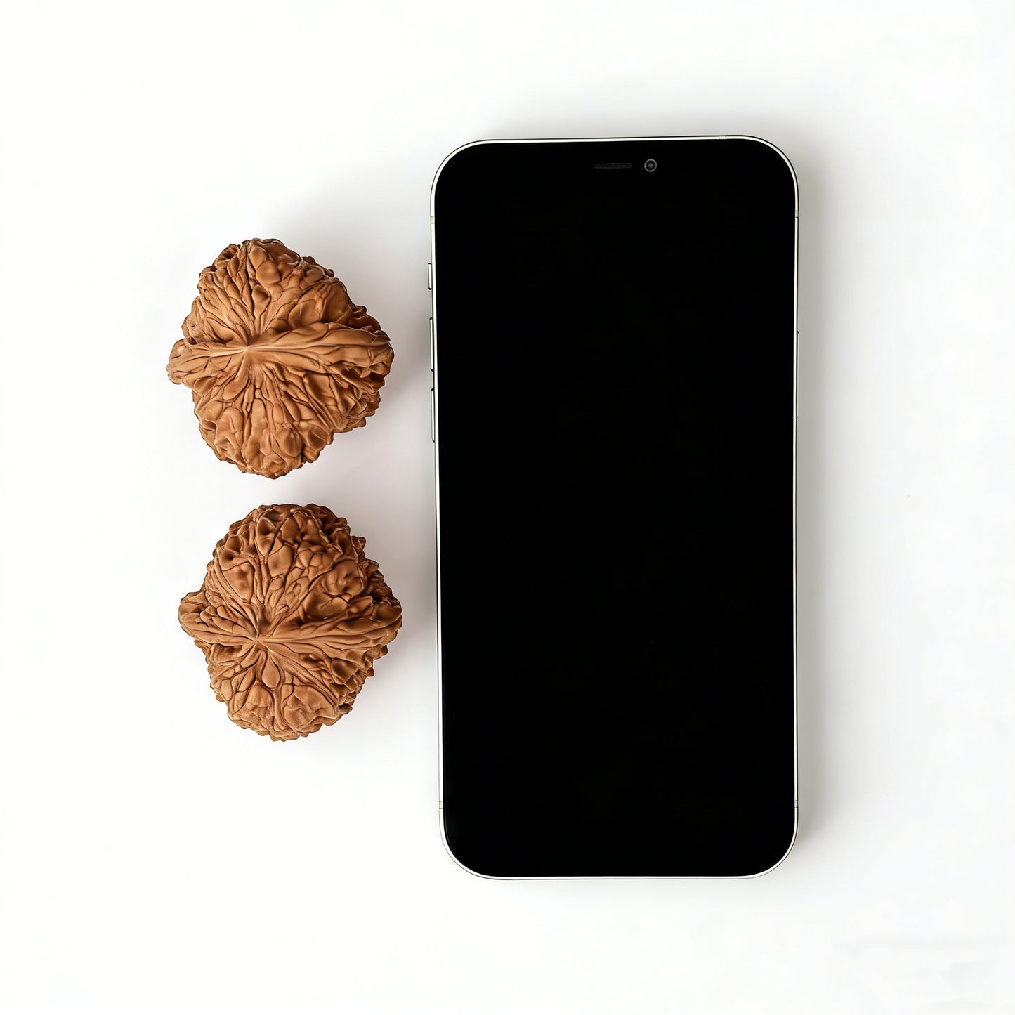 The "Stout Cushion" (Mendun) Pair | 45.0mm | MD-101