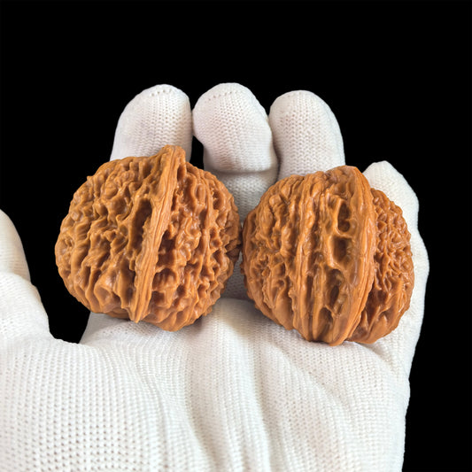 The "Half-Wall White Lion" (Banbi Bai Shizi) Pair | 42.0mm | BBBSZ-03