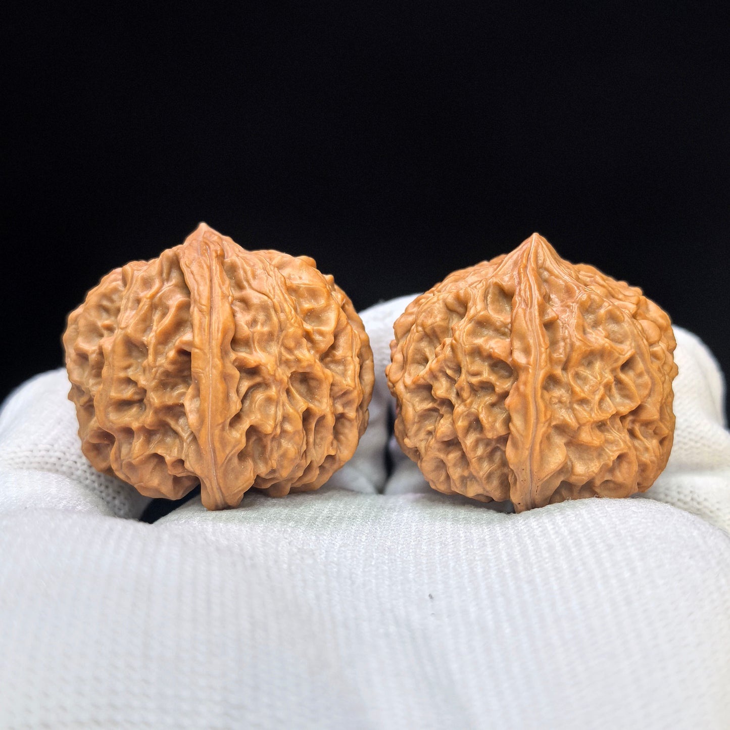 "Star Lotus Lionhead" (Xing Lian Shi Tou) Scholar Walnuts Pair | 37.0mm x 35.0mm | Low-Profile Sacred Radiant Base | Collector Grade Masterpiece | Stock ID: WM-SY1B6