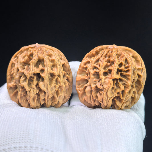 Bai Shou Lion Head (Hundred Longevity) Scholar Walnuts Pair | 45.0mm x 43.0mm | Stock ID: BSSZT-1401