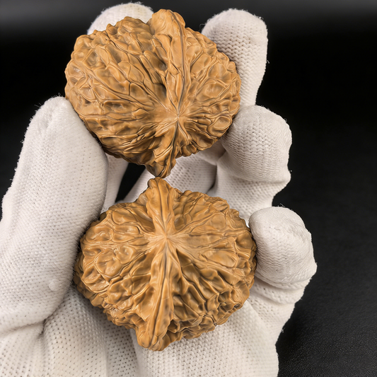 The "Pumpkin" Stout (Nan Gua) – 46mm Massive Collector's Pair | #NG-70 (Actual Item Pictured)