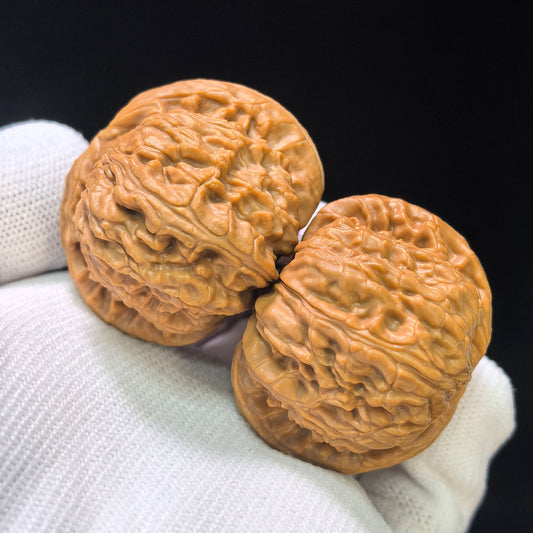 "Recessed Apex Spherical White Lion" Menjian Qiuxing Baishizi Low-Profile Wenwan Walnuts Pair | 39.0mm x 39.0mm | BSJ-1505C
