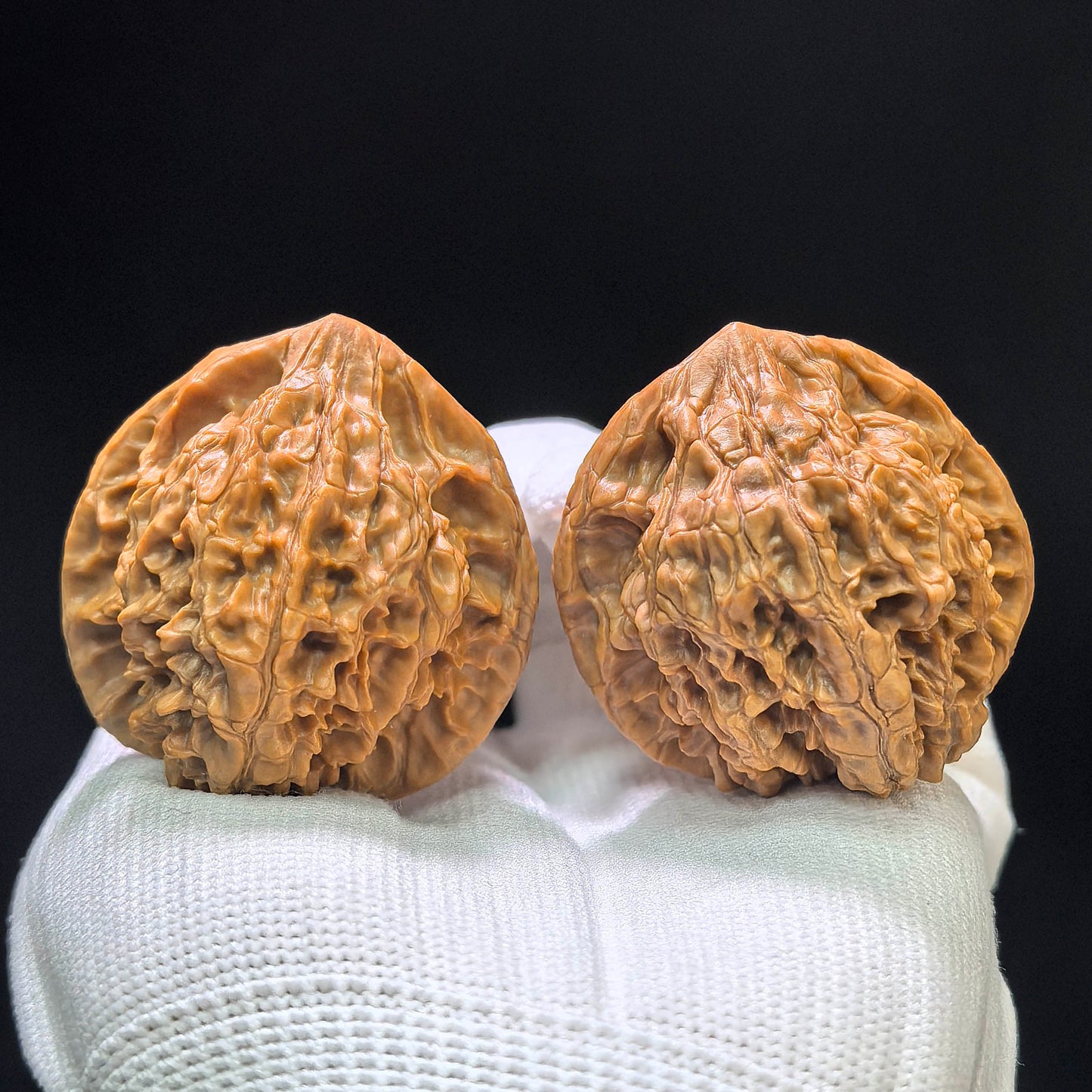 "Wild Cultivar" Yesheng Wenwan Walnuts (Pair) | 41.0mm x 41.0mm | Stock ID: YS-1102