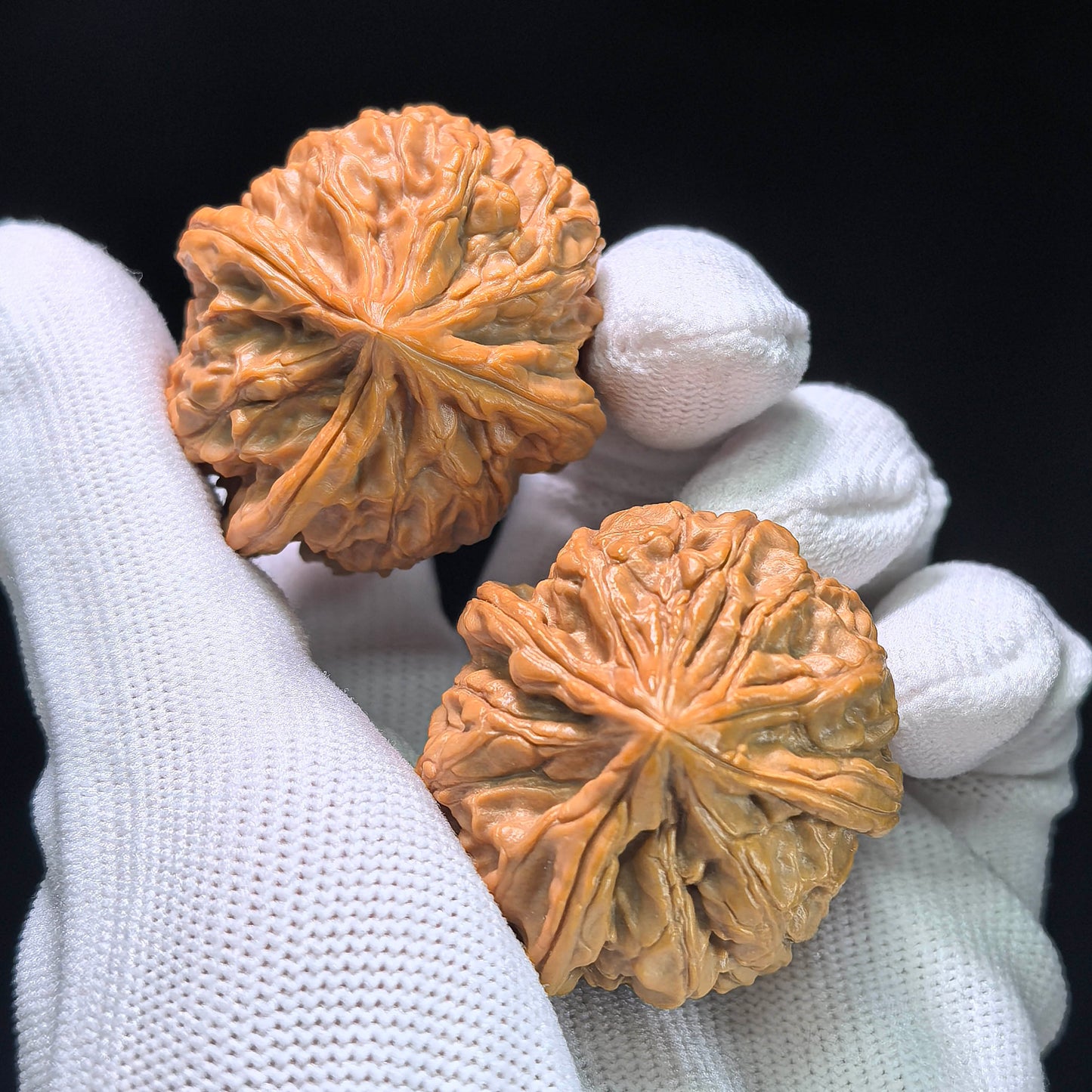 The Royal Three-Ridge "Ding" Wangxi Masterpiece | 37.0mm x 41.0mm | YXSZTSN-1401E