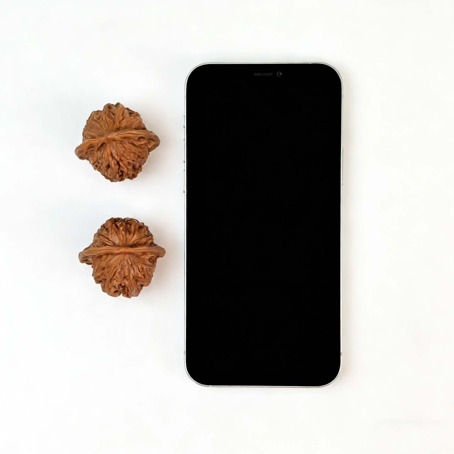 The "Porcelain Doll" (Ci Wa Wa) – Refined Elegance & Waxy Luster | 38mm Collector’s Pair