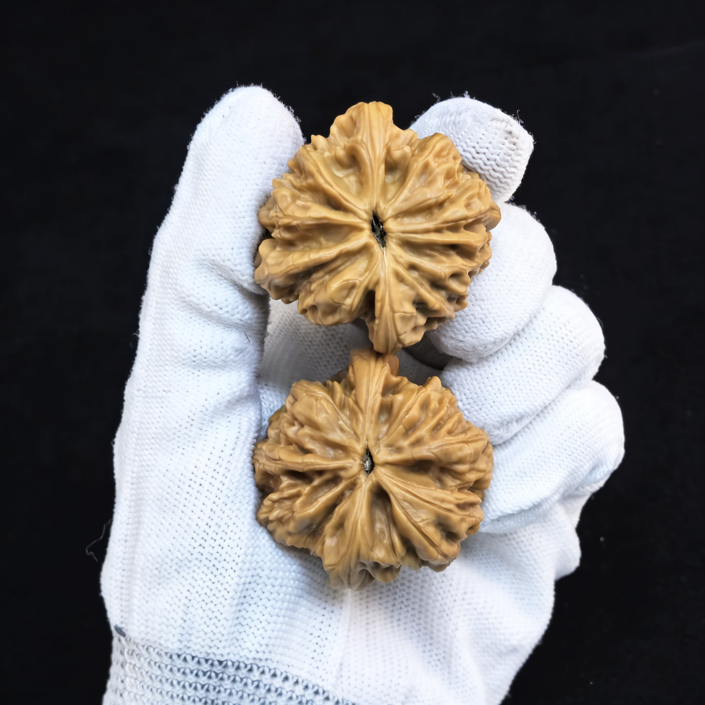 The "Blizzard" Lion Head (Bao Xue) – 40mm Intense Texture Pair | #BX-01 (Actual Item Pictured)