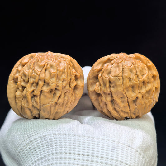 "Butterfly Oracle Bone Script" Hudie Jiaguwen HDJGW-1601 Low-Profile Wenwan Walnuts Pair | 40.0mm x 38.0mm | HDJGW-1601
