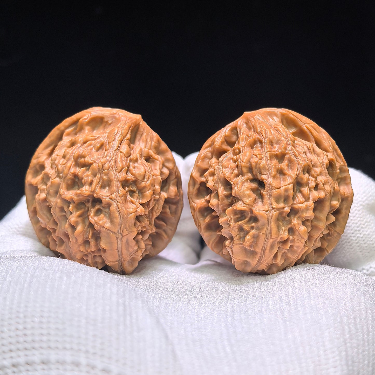 "Golden Kylin Hawk Beak Vulture" Jinqilin Yingzui Zuoshandiao Wenwan Walnuts Pair | 36.0mm x 39.0mm | JQLYZZSD-CG218E