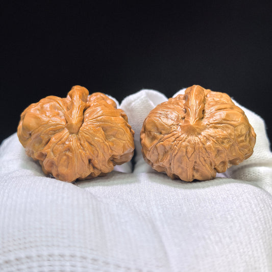 "Toad Head Eagle Beak Smooth Sailing" Hamatyzyf-CG200E Wenwan Walnuts Pair | 38.0mm x 39.0mm | HMTYZYF-CG200E