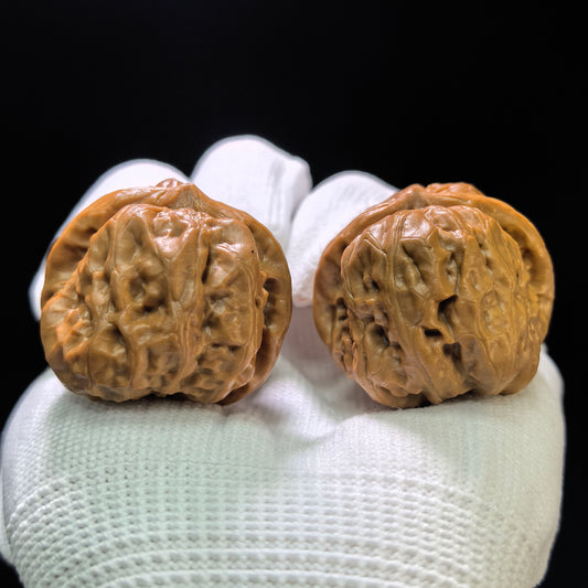 "King Toad" Wangchan W-1108 Hand-Spin Pocket Wenwan Walnuts Pair | 34.0mm x 36.0mm | W-1108