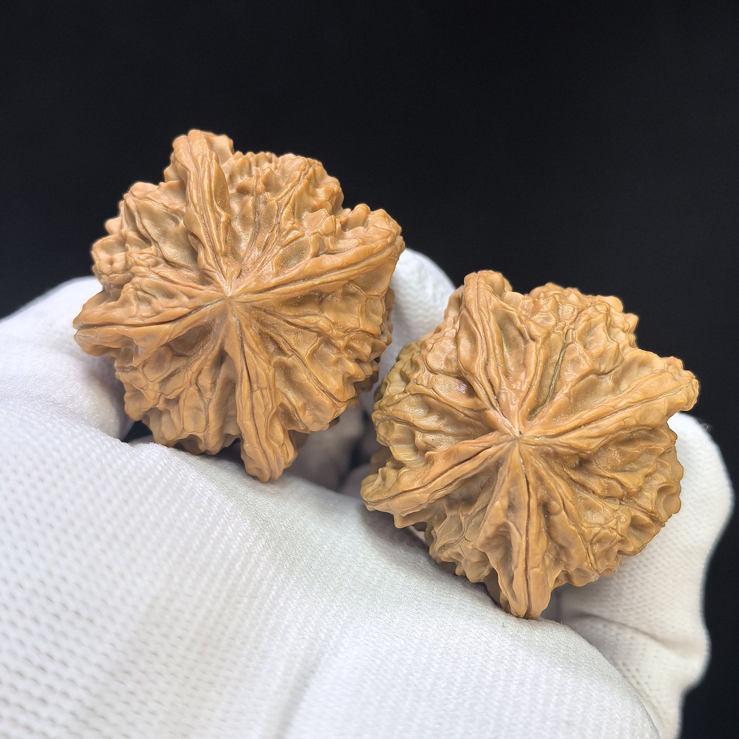 "Imperial Jade Seal X-Men" Yuxi Sileng X-Zhanjing Four-Ribbed Wenwan Walnuts Pair | 41.0mm x 40.0mm | YSFN-C227E