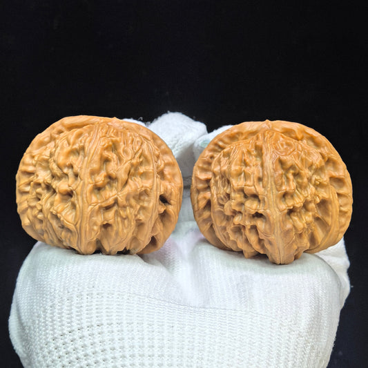 "Spherical White Lionhead" Qiuxing Baishizi QXBSJ-1506C Low-Profile Wenwan Walnuts Pair | 44.0mm x 44.0mm | QXBSJ-1506C
