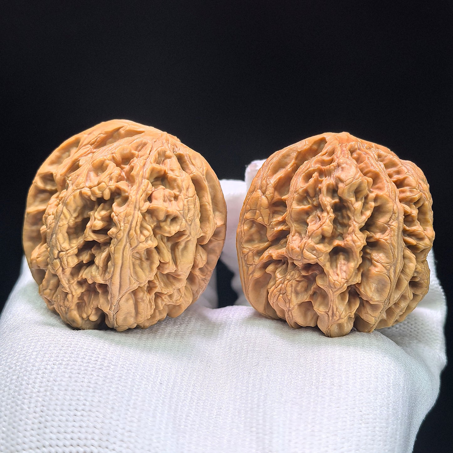 The "Bold-Ribbed Lion Head" (Cu Jin) Heritage Deep-Belly Pair | 42.0mm x 45.0mm | CJ-1401