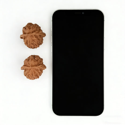 The "Beijing Chicken Heart" (Beijing Jixin) Pair | 37.0mm | BBJX-102