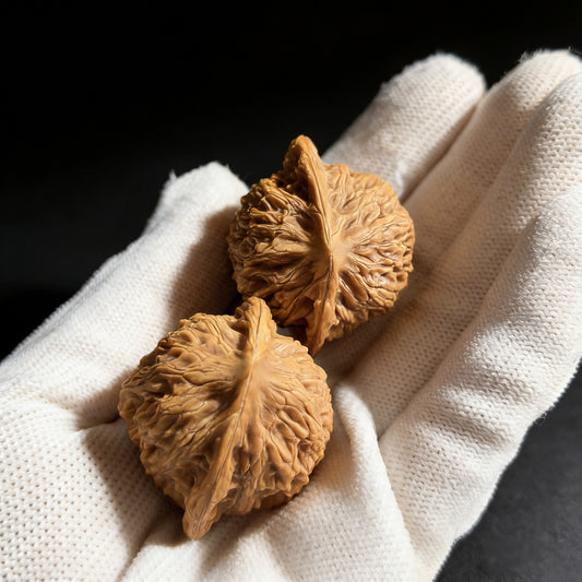 The "Gentleman’s Hat" (Gongzi Mao) Pair | 37.0mm | GZM-01