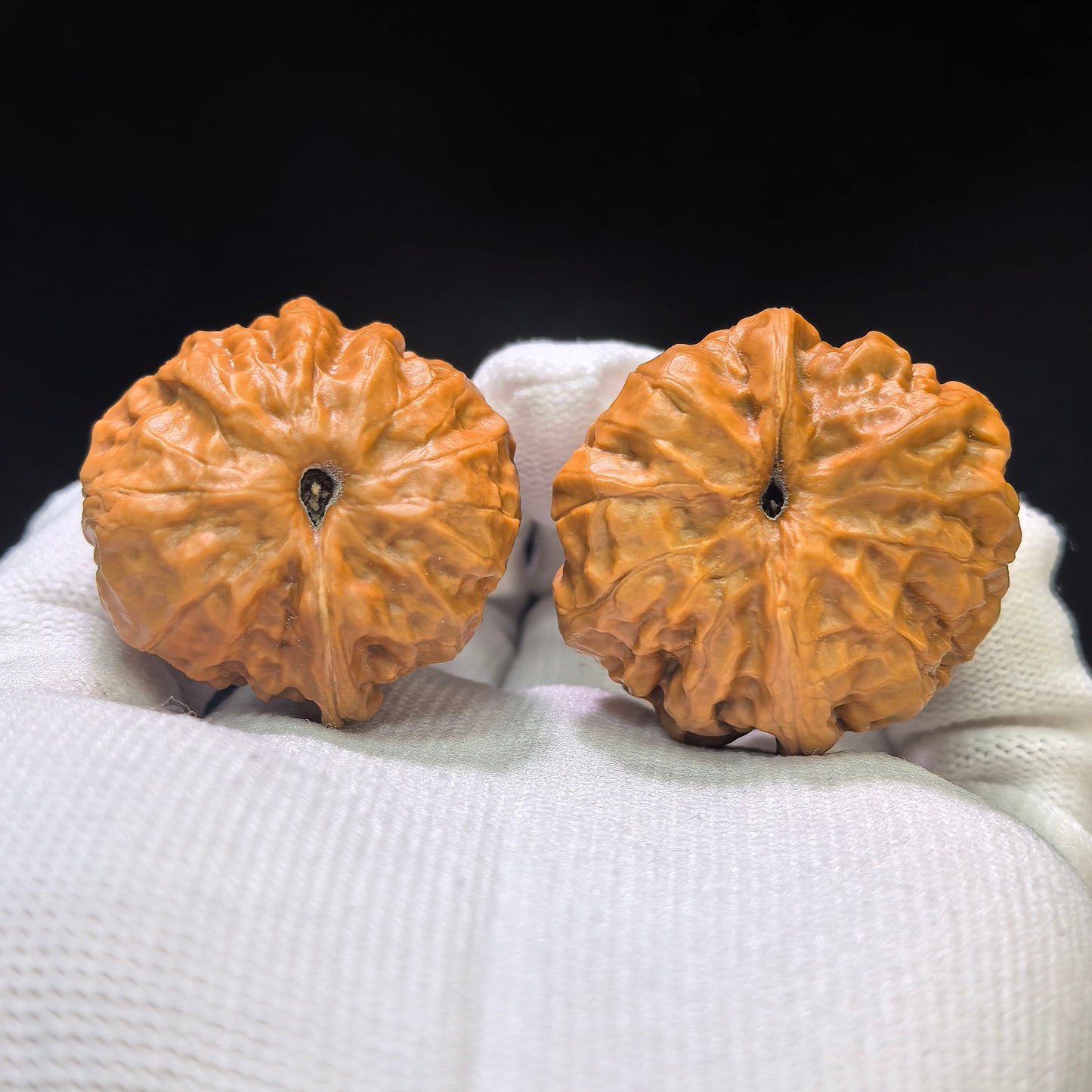 "Miniature Crystal Frog Hawk-Beak Smooth-Sailing" (Xiu Zhen Shui Jing Wa Ying Zui Yi Fan) Scholar Walnuts | Ultra-Rare 35.0mm x 35.0mm Isometric Profile | Singularities Grade Masterpiece | Stock ID: SJWYZYF-CG201E