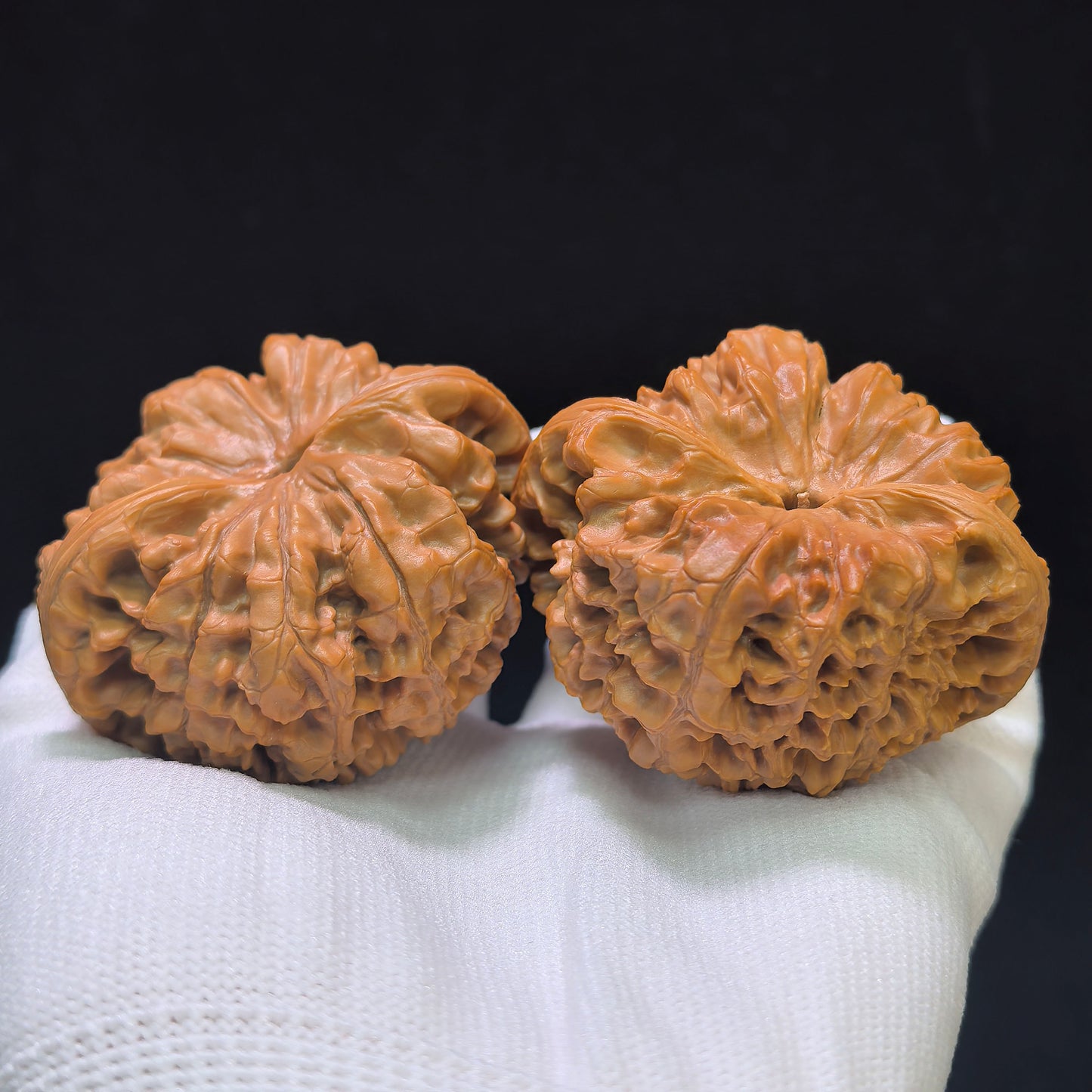 "Kylin Texture Low Profile Concave Base" Qilinwen Aizhuang Aodi Wenwan Walnuts Pair | 52.0mm x 46.0mm | QLW-1551C
