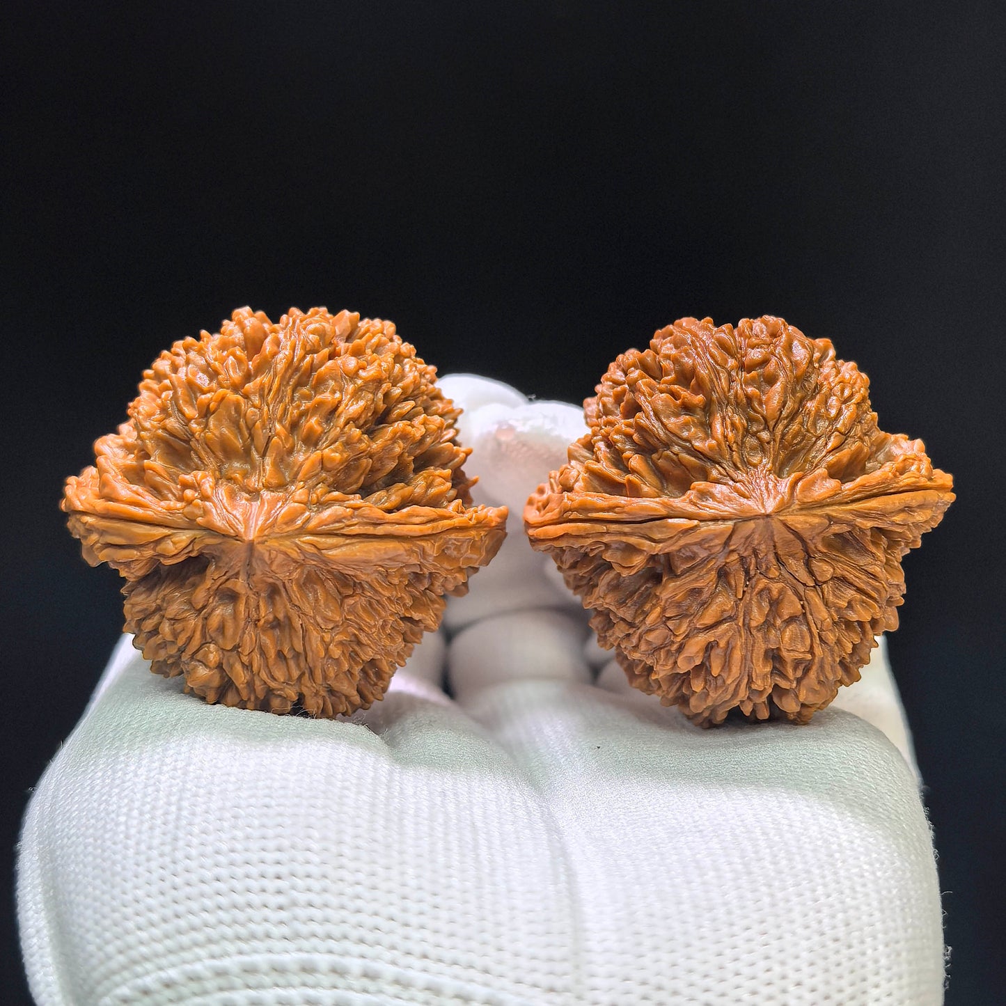 "Concave Base Starry Sky" Aodi Mantianxing Wenwan Walnuts (Pair) | 42.0mm x 41.0mm | Stock ID: ADMTX-1108