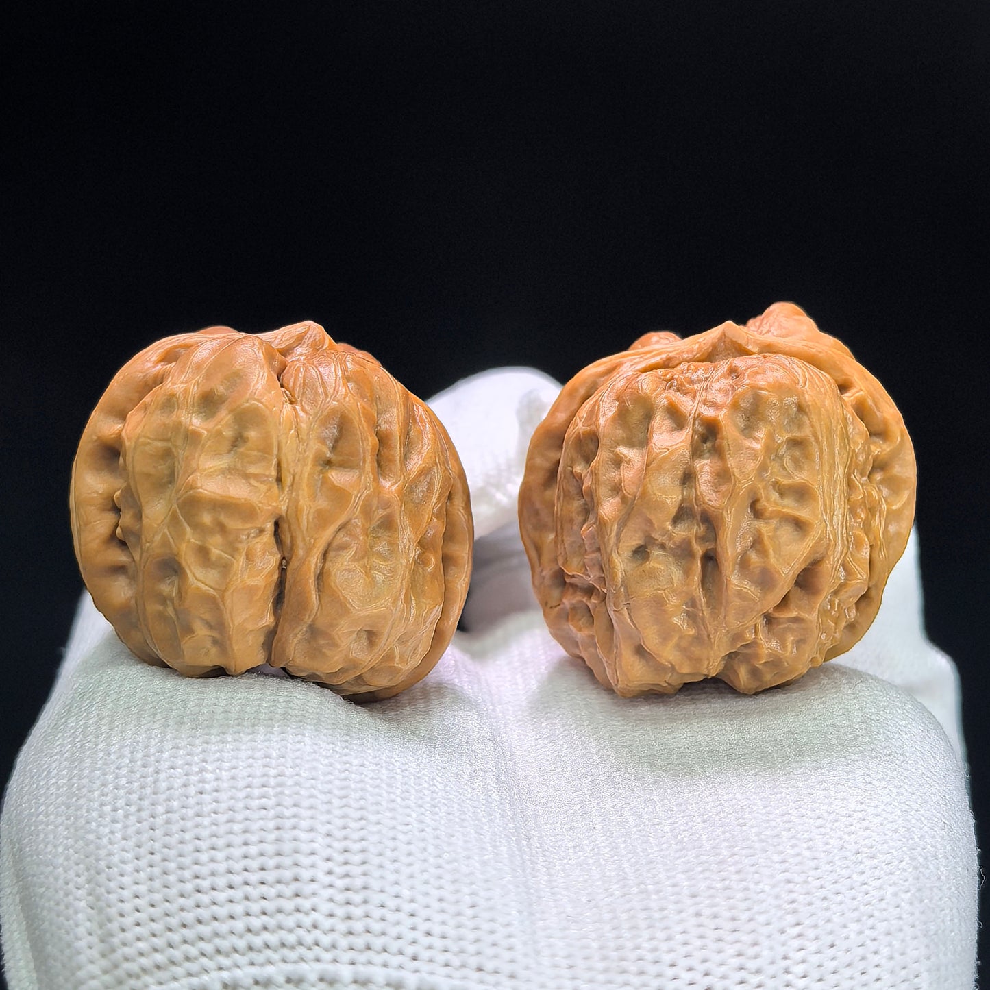"Toad Head" Hama Tou W-1404 Low-Profile Wenwan Walnuts Pair | 36.0mm x 38.0mm | W-1404