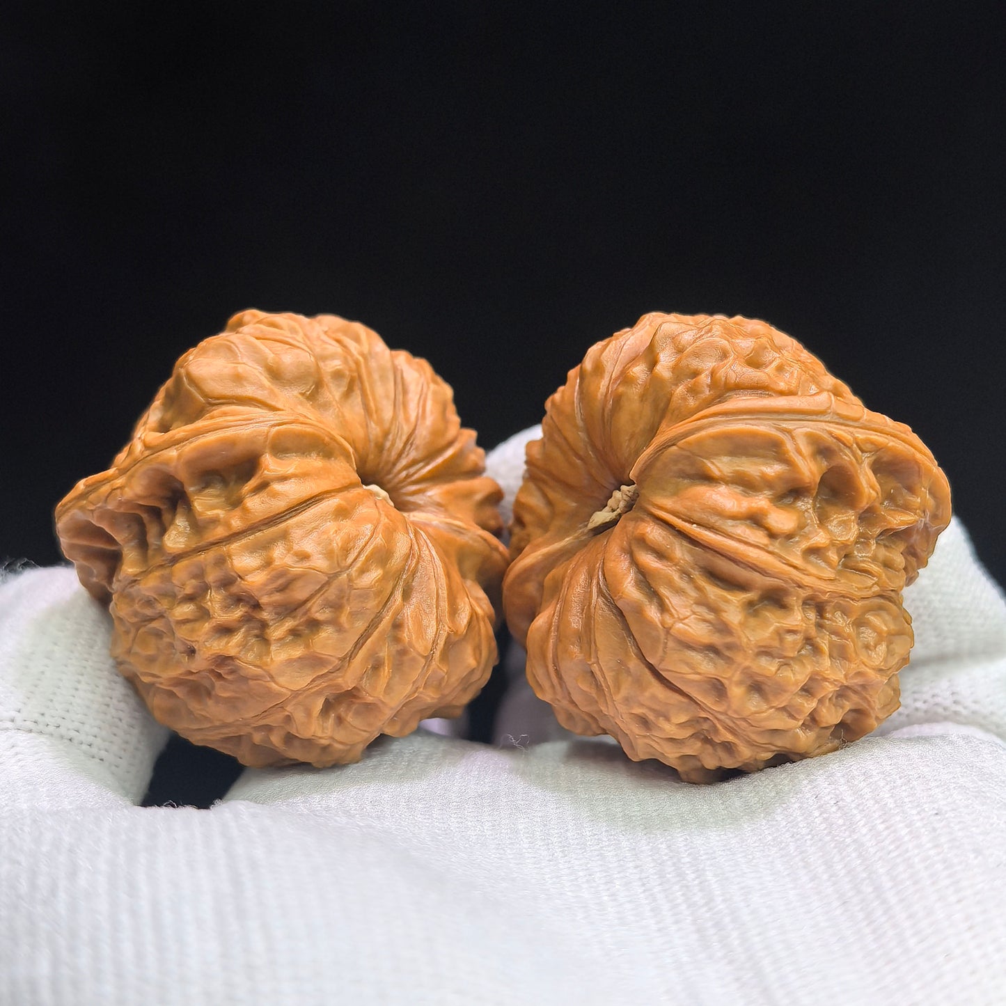 "Concave Base Pumpkin Dun" Aodi Nanguadun BDNGD-17G5 Low-Profile Wenwan Walnuts Pair | 43.0mm x 43.0mm | BDNGD-17G5