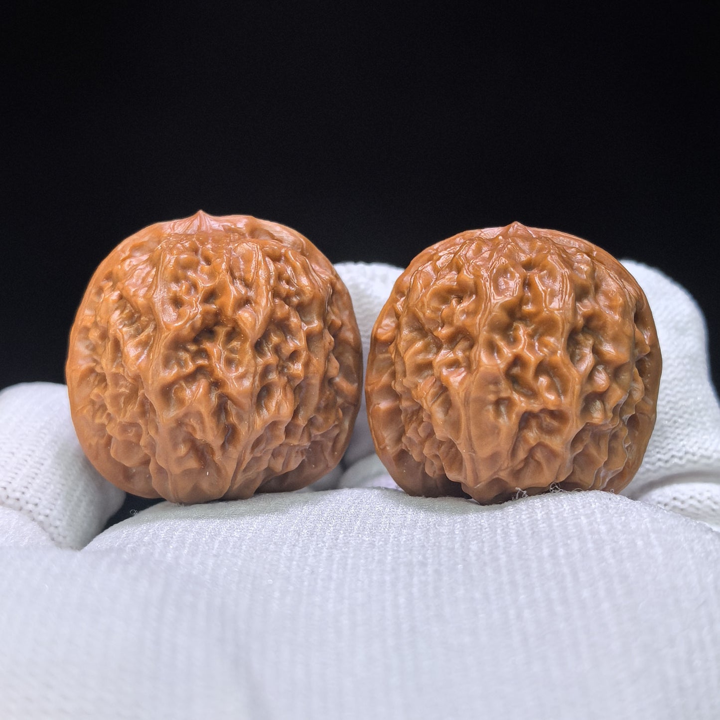 "Pocket Porcelain Doll" Miniature Ciwawa Wenwan Walnuts (Pair) | 34.0mm x 35.0mm | Stock ID: CWW-1506C
