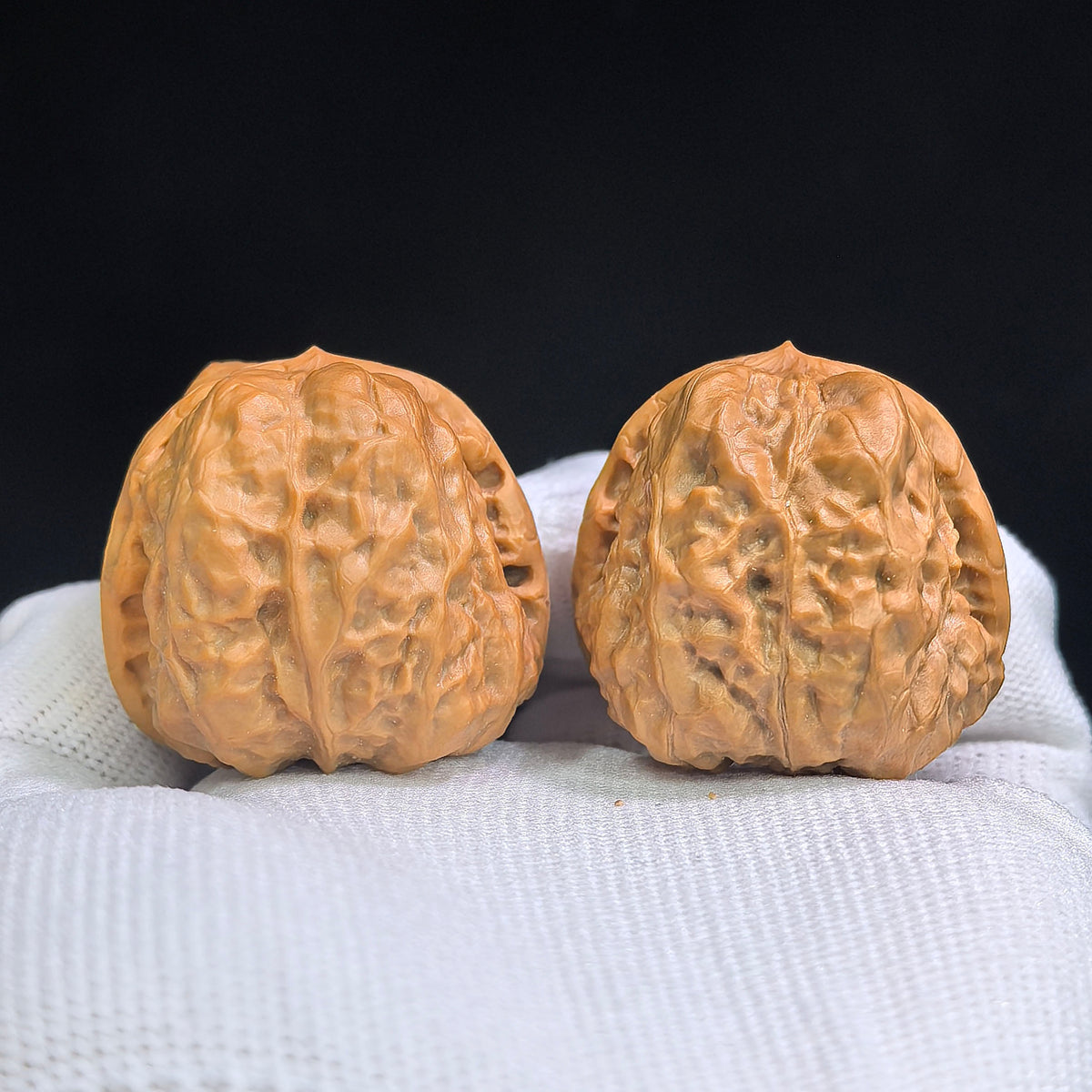 Compact Broad-Shouldered Toad Head Wenwan Walnut Pair | 35.0mm x 37.0mm | HMT-SY1H6