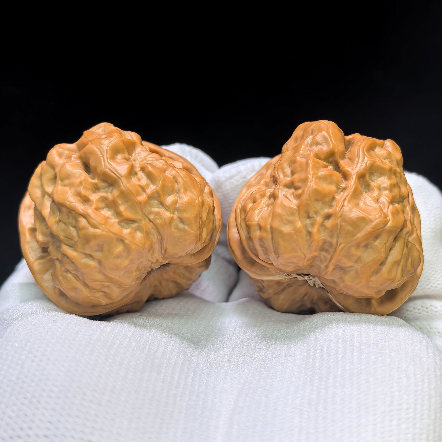 "Toad Head" Hama Tou Wenwan Walnuts Pair | 40.0mm x 40.0mm | HMT-02SY