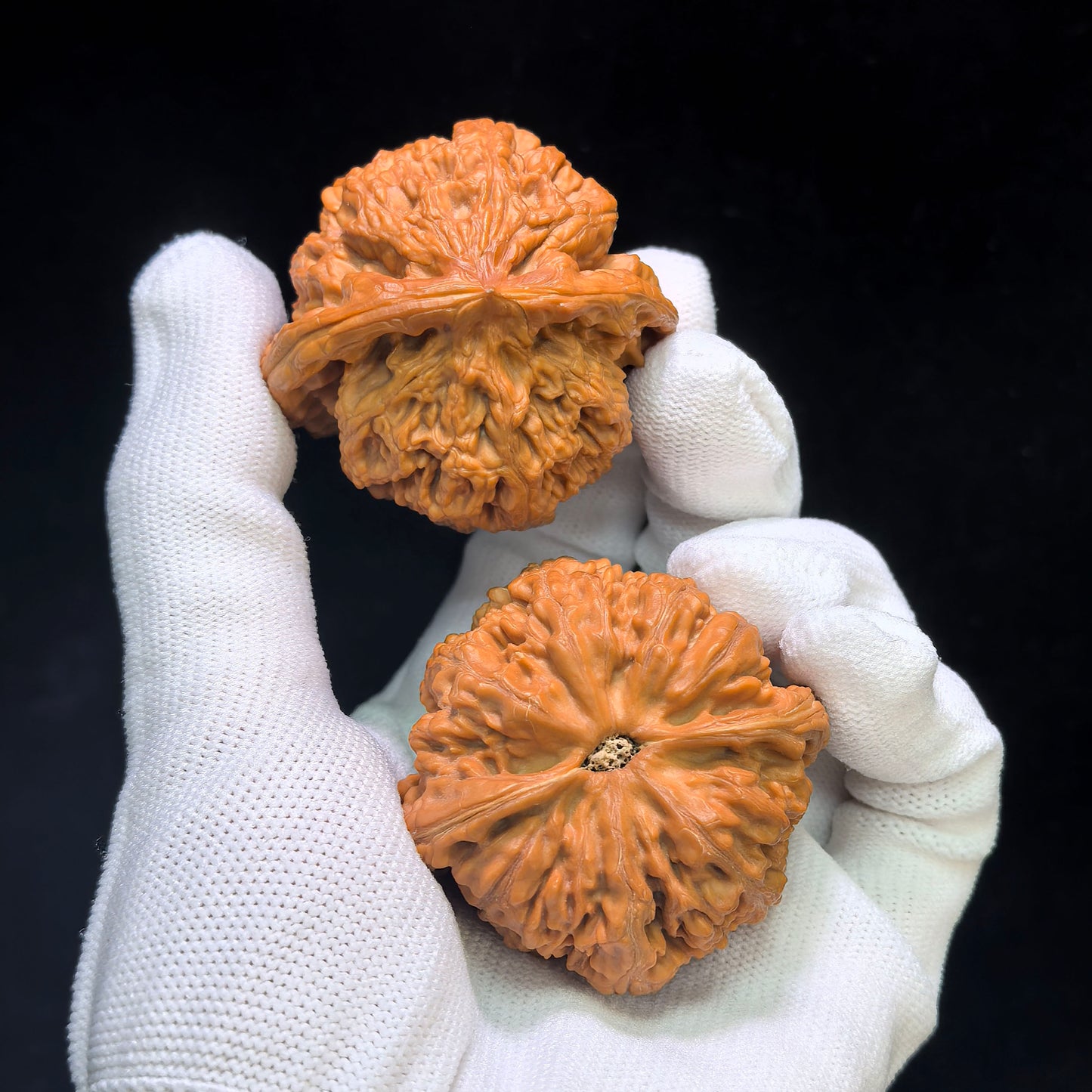 "Large Thick Rib" Dacujin Wenwan Walnuts Pair | 48.0mm x 47.0mm | DCJ-1551C