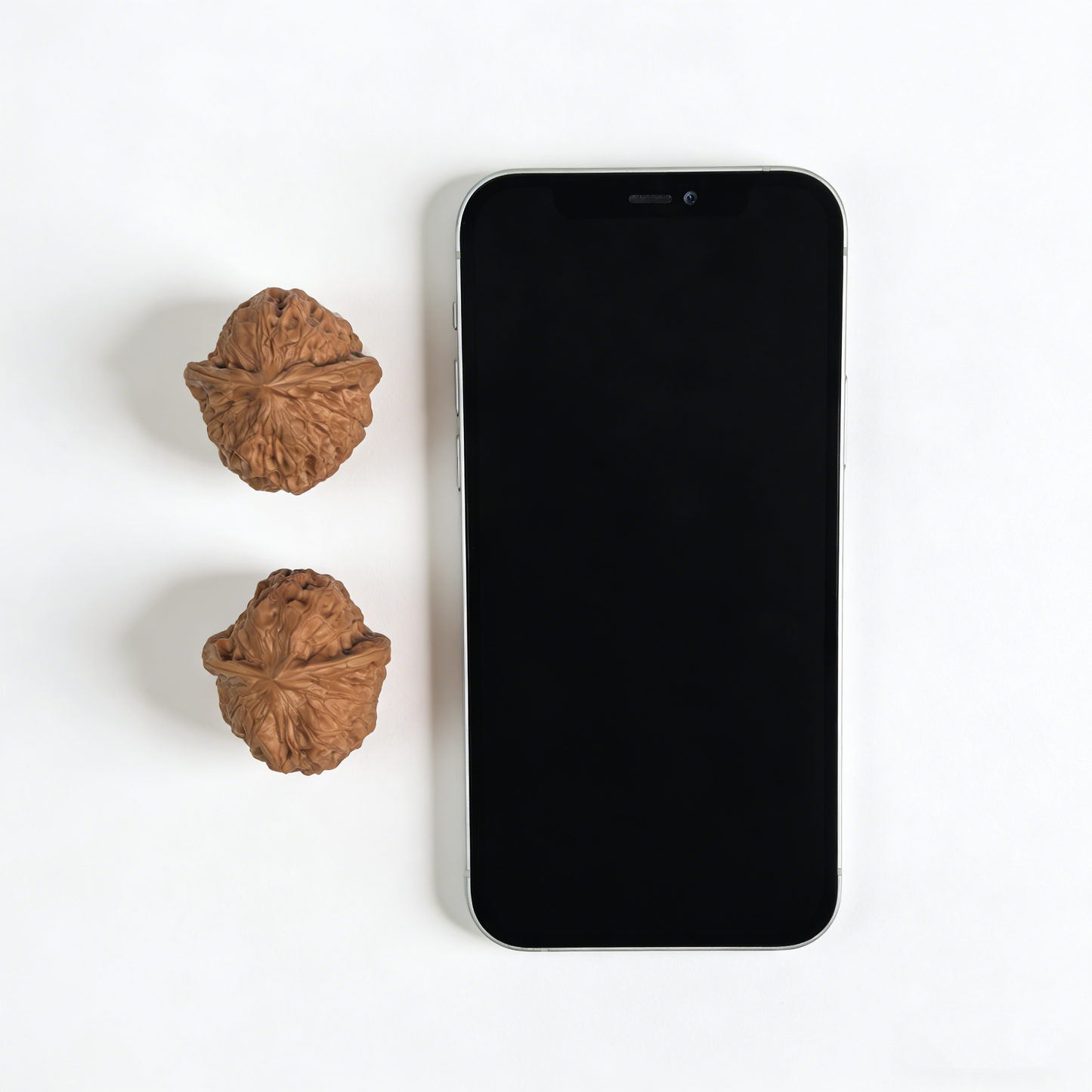 The "Nan Gua Dun" (Little Pumpkin) Pair | 37.0mm | NGD-02