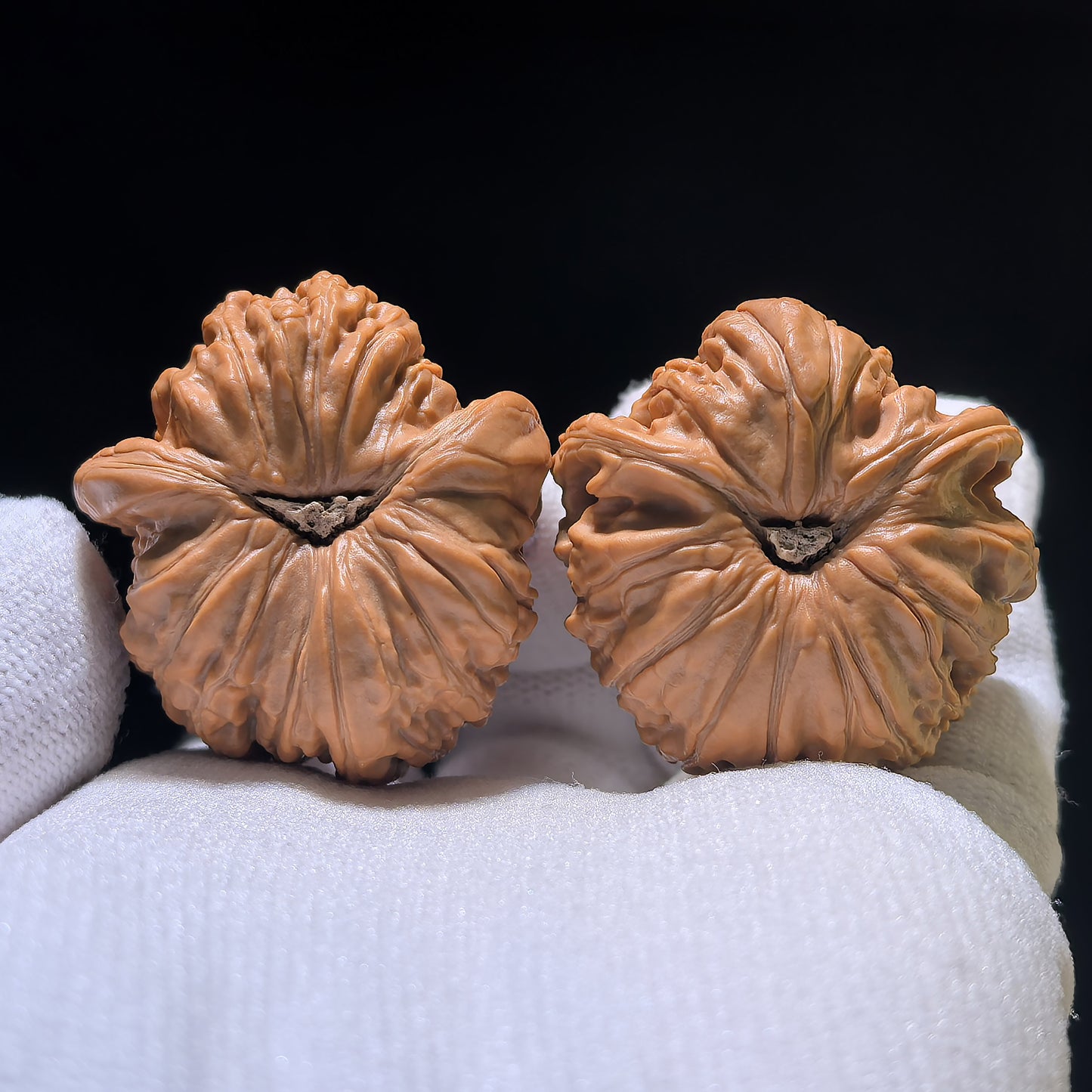 The Rare "Flying Snake" Lion Head (Fei She) Matched Pair | 34.0mm x 37.0mm | FSST-1201E