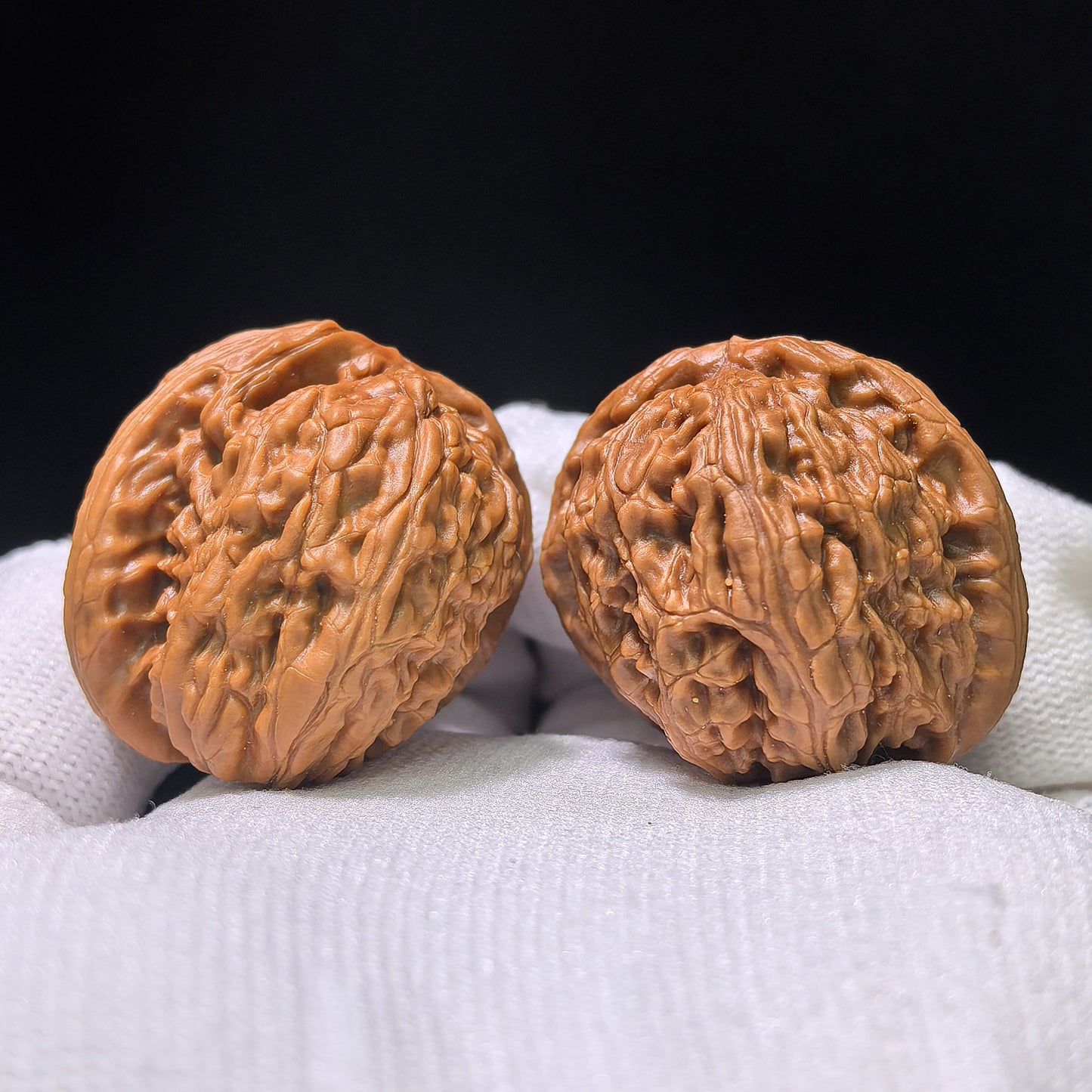 The Spectacular "White Lion Head Half-Wall" Baishizi Banbi Pocket Masterpiece | 34.0mm x 35.0mm | BSJBB-402E