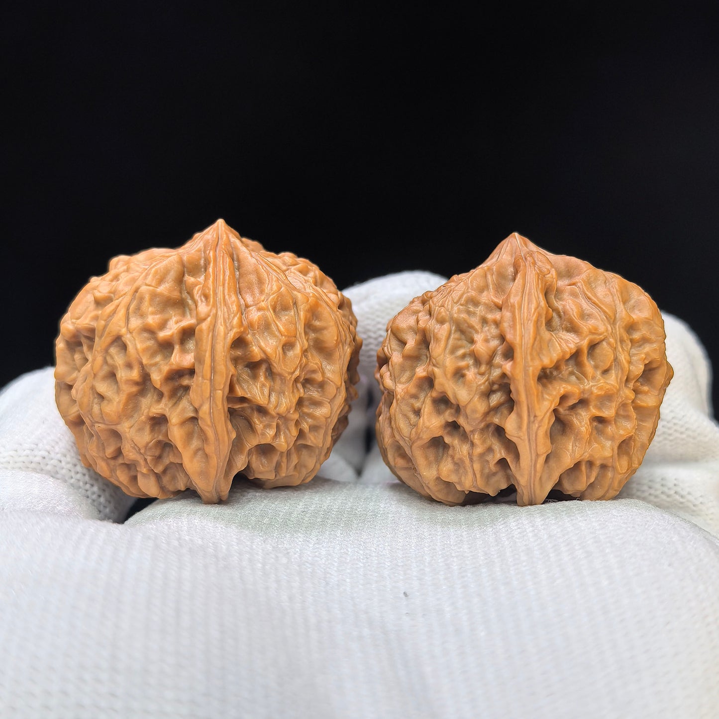 "Star Lotus Lionhead" (Xing Lian Shi Tou) Scholar Walnuts Pair | 37.0mm x 35.0mm | Low-Profile Sacred Radiant Base | Collector Grade Masterpiece | Stock ID: WM-SY1B6