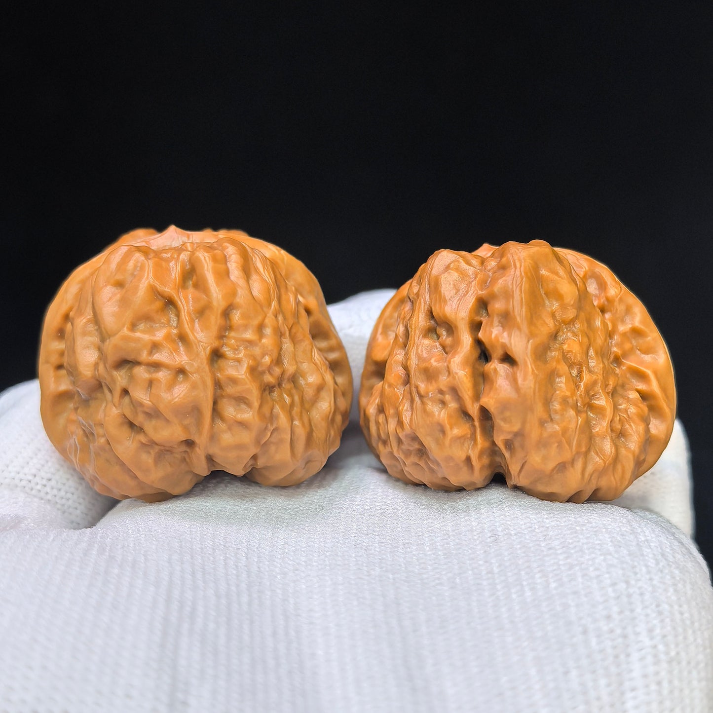 "Crystal Toad Frog" Chanchu Shuijingwa HMT-1503C Low-Profile Wenwan Walnuts Pair | 38.0mm x 40.0mm | HMT-1503C