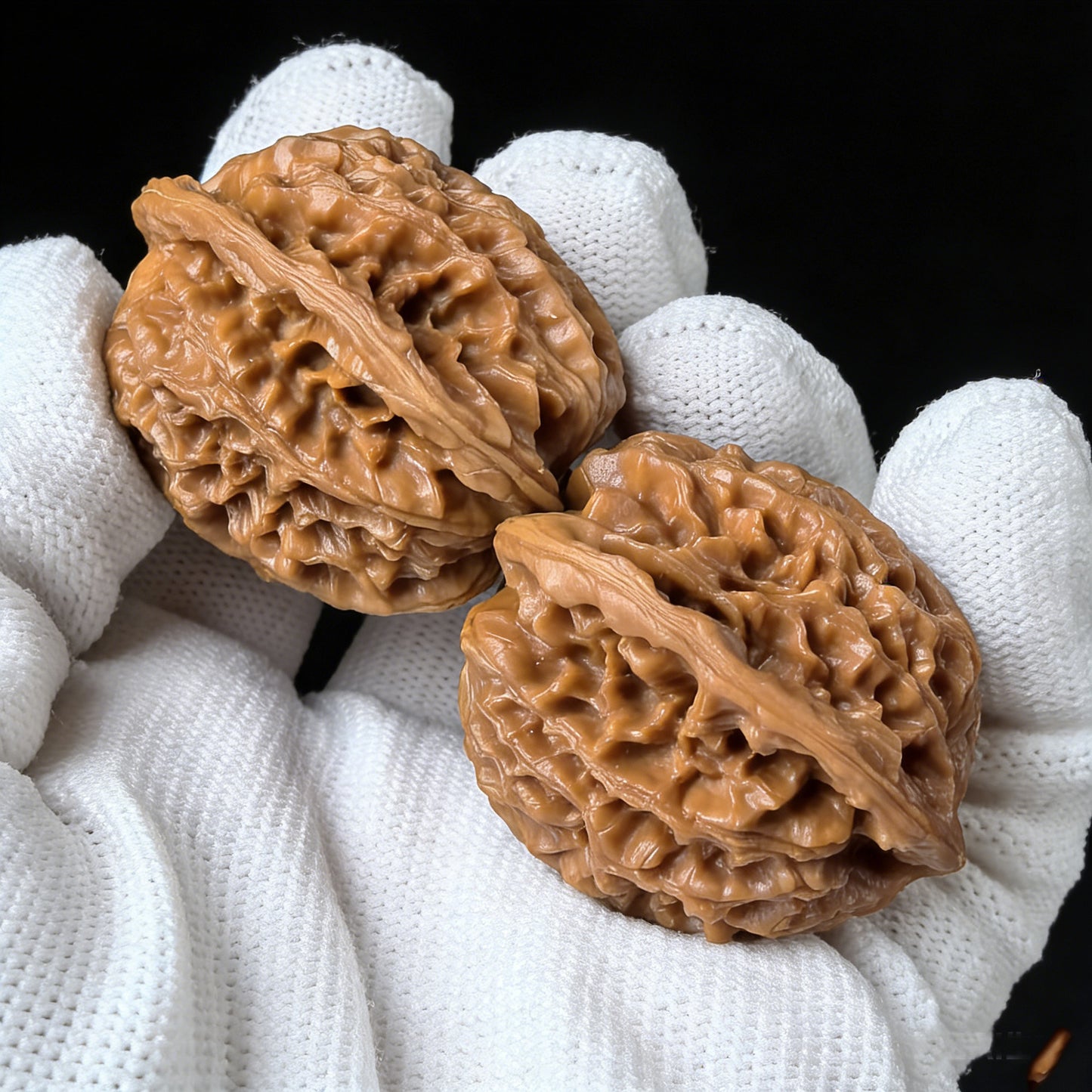 The "Coiled Dragon" (Pan Long Wen) Pair | 43.0mm x 34.0mm | PLW-02