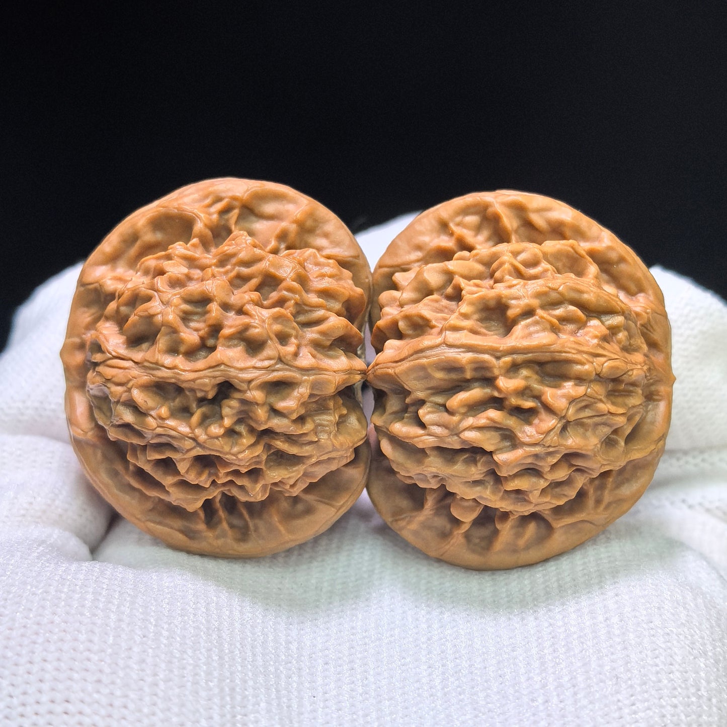 "Palace Lantern Flying Snake Turtle Back" Gdfsgb-CG219E Wenwan Walnuts Pair | 40.0mm x 38.0mm | GDFSGB-CG219E