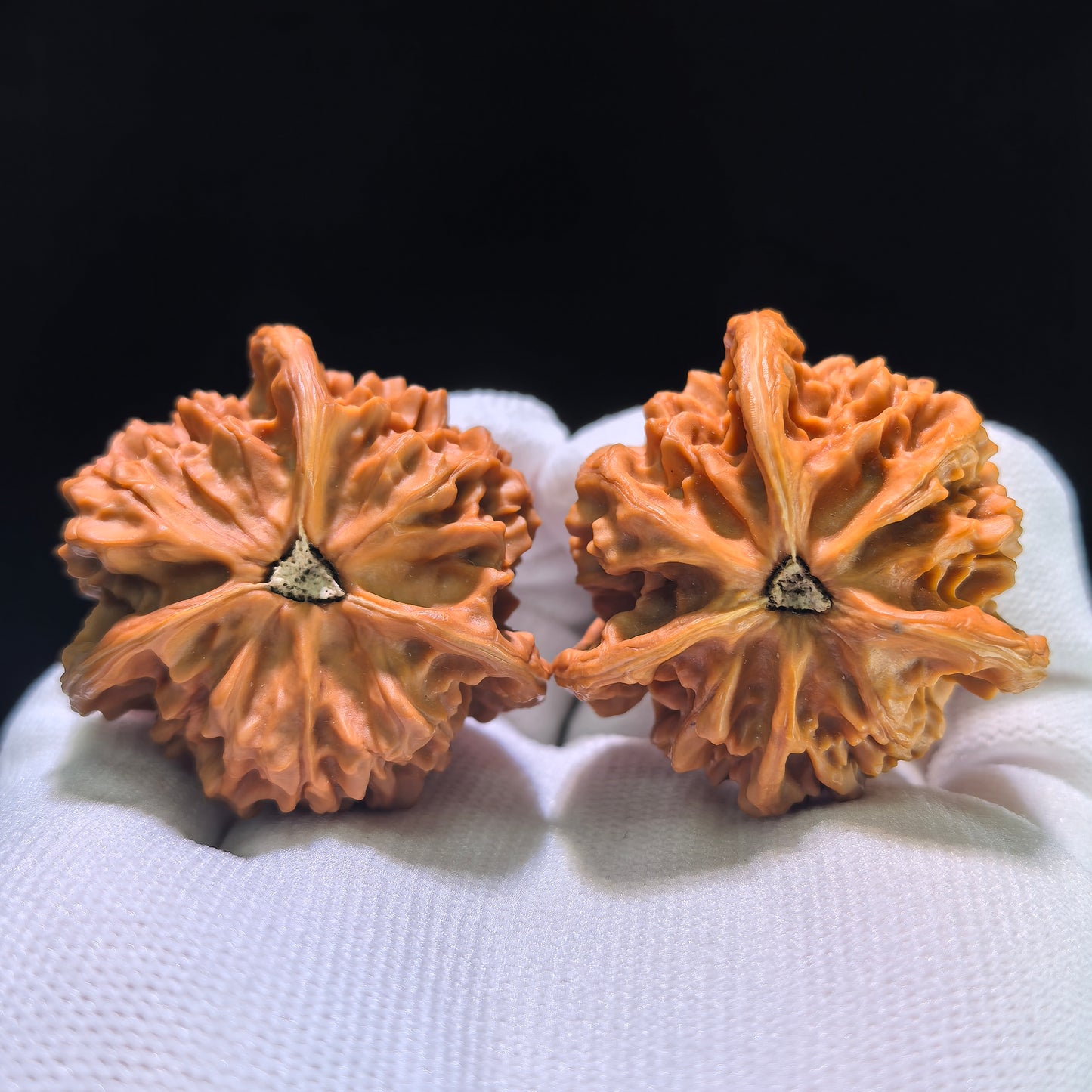 The "Panshan" Elite Trident Three-Ridge Pair | 40.0mm x 40.0mm | PSSN-1302E