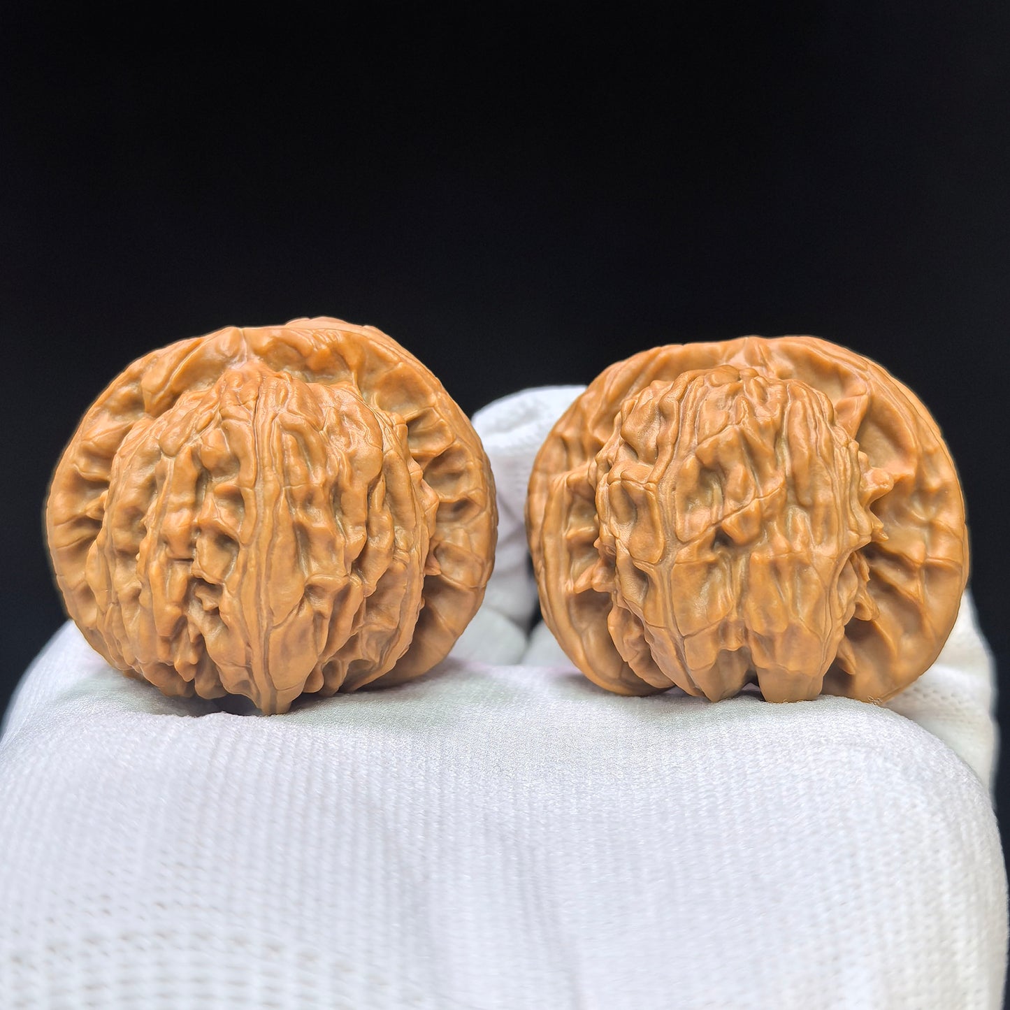 "White Lion Turtle-Back" Baishizi Wuguibei Wenwan Walnuts Pair | 42.0mm x 40.0mm | BSJWGB-C235E