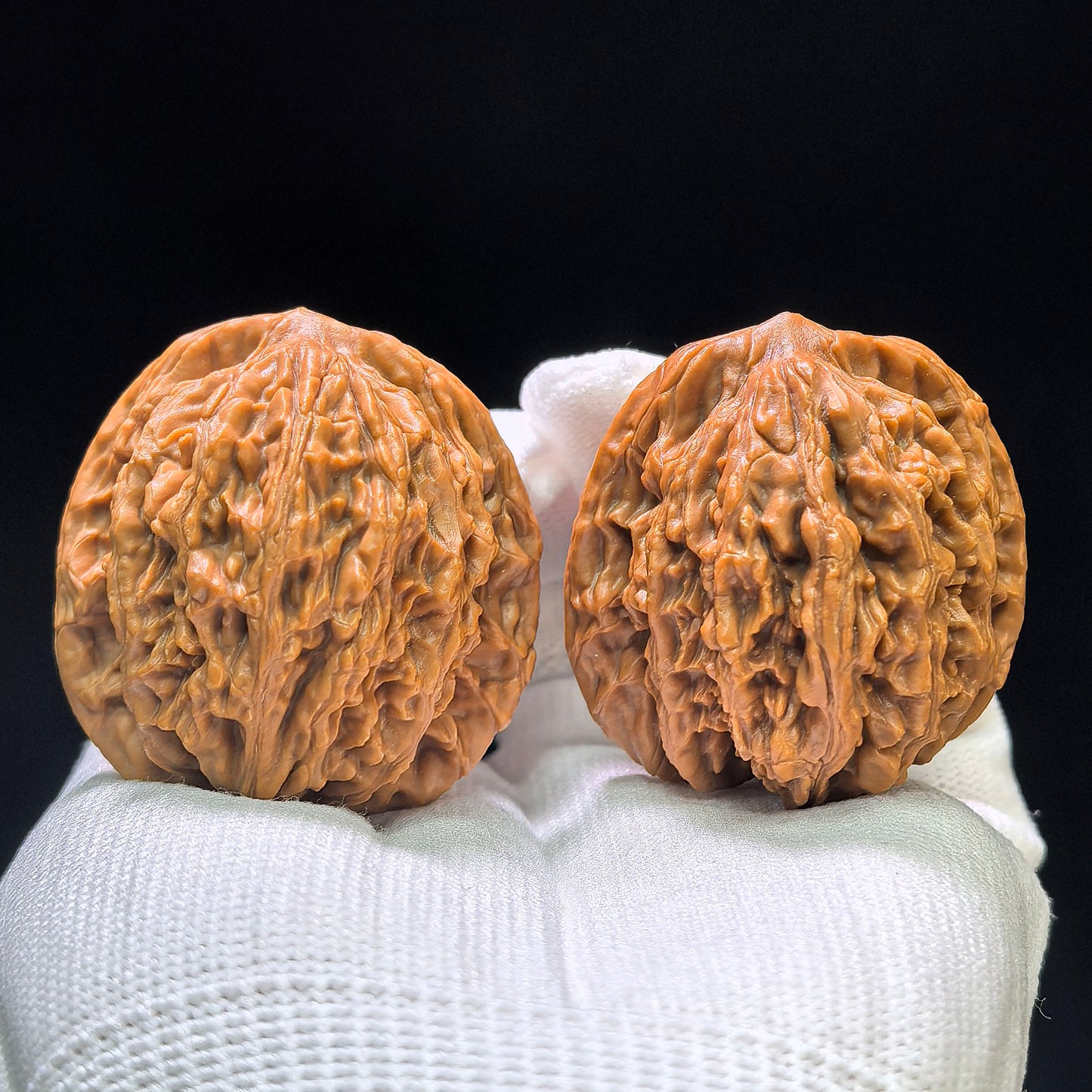 "Liger" Shihushou Wenwan Walnuts Pair | 40.0mm x 40.0mm | SHS-1101