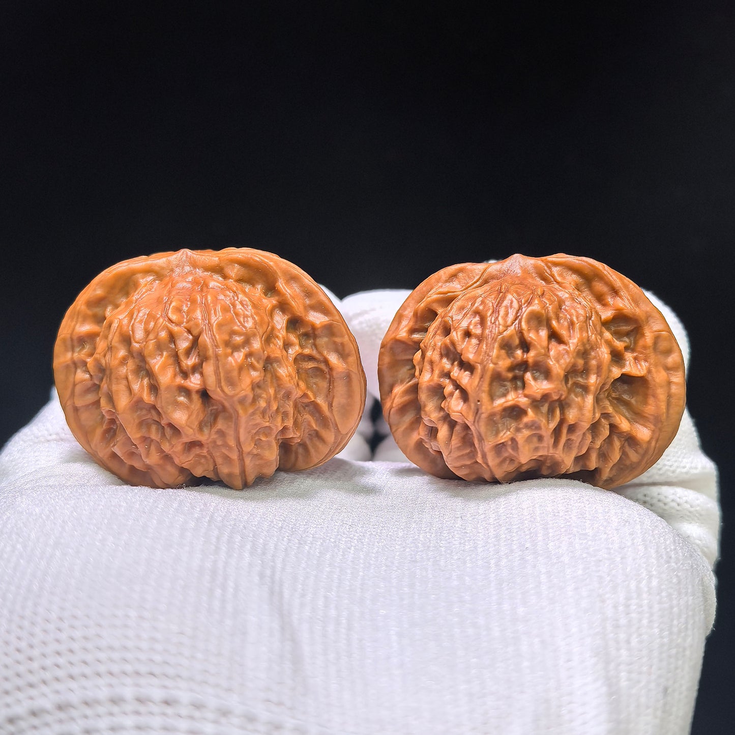 "Porcelain Doll Turtle Back" Cwwwgb-CG211E Wenwan Walnuts Pair | 40.0mm x 37.0mm | CWWWGB-CG211E